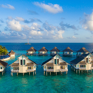 ellaidhoo-maldives-cinnamon